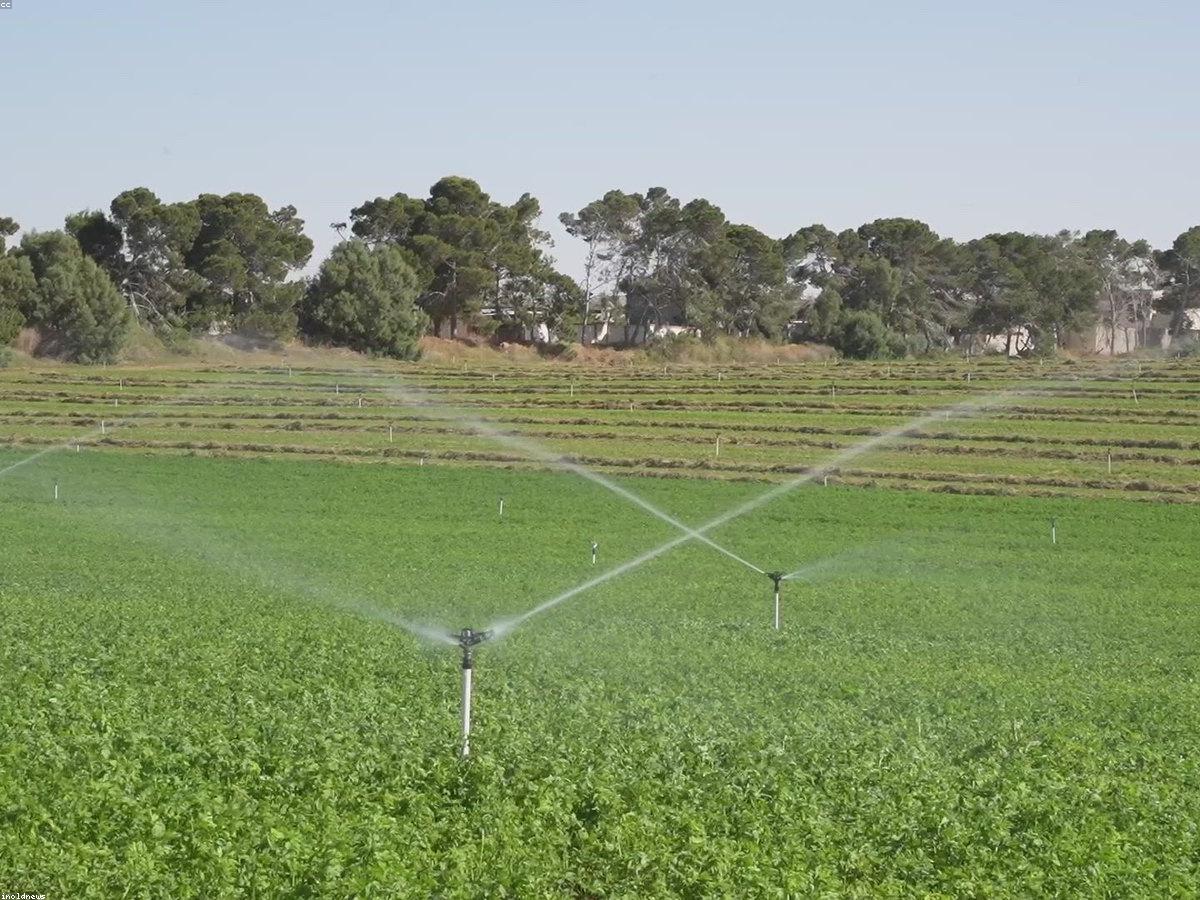 Agriculture and food security