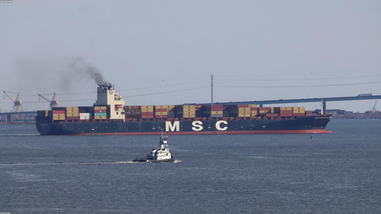 Trade division project image